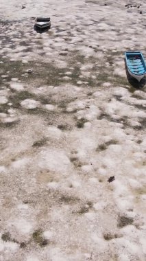 Zanzibar, Tanzanya - kıyıya yakın okyanusta alçak gelgitin dikey videosu, yavaş çekim