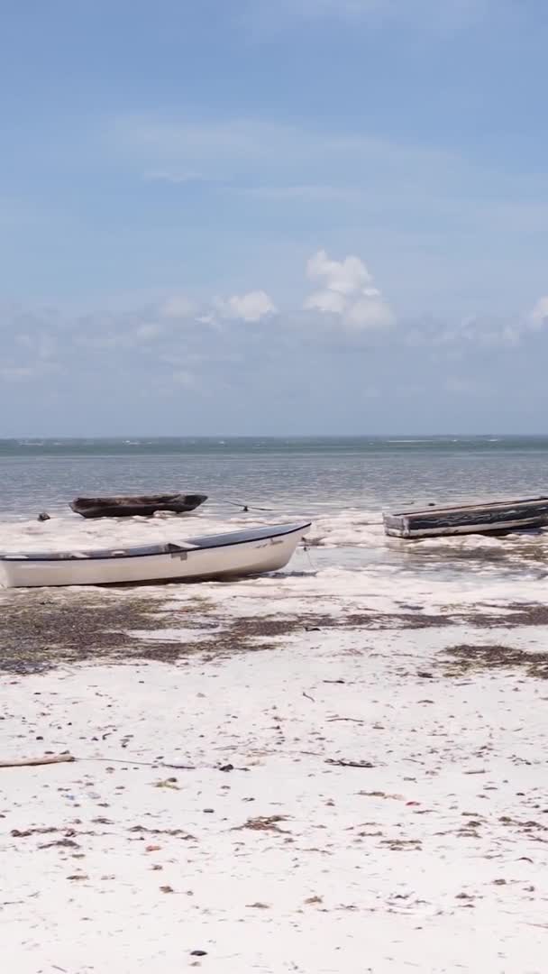 Zanzibar Tanzania Vertical Video Low Tide Ocean Coast Slow Motion — Stock Video