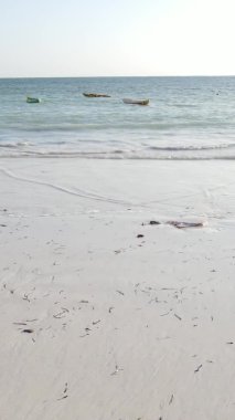 Zanzibar, Tanzanya - kıyıya yakın okyanusta alçak gelgitin dikey videosu, yavaş çekim