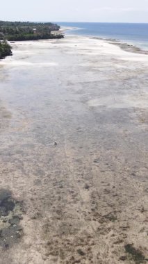 Zanzibar, Tanzanya - kıyıya yakın okyanusta alçak gelgitin dikey videosu, yavaş çekim