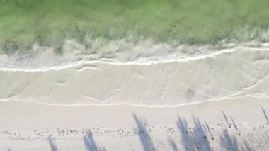 Zanzibar, Tanzanya - dikey boş kumsal, yavaş çekim