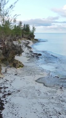 Zanzibar, Tanzanya - dikey boş kumsal, yavaş çekim
