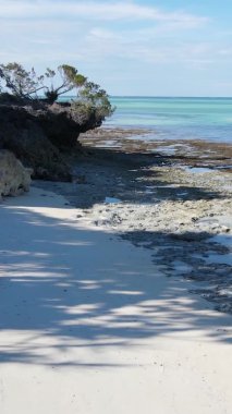 Zanzibar, Tanzanya - dikey boş kumsal, yavaş çekim