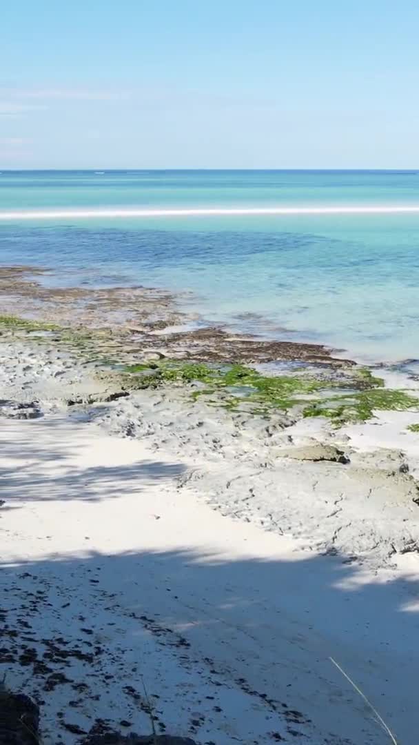 Zanzibar Tanzánia Függőleges Videó Üres Strand Lassított Felvétel — Stock videók