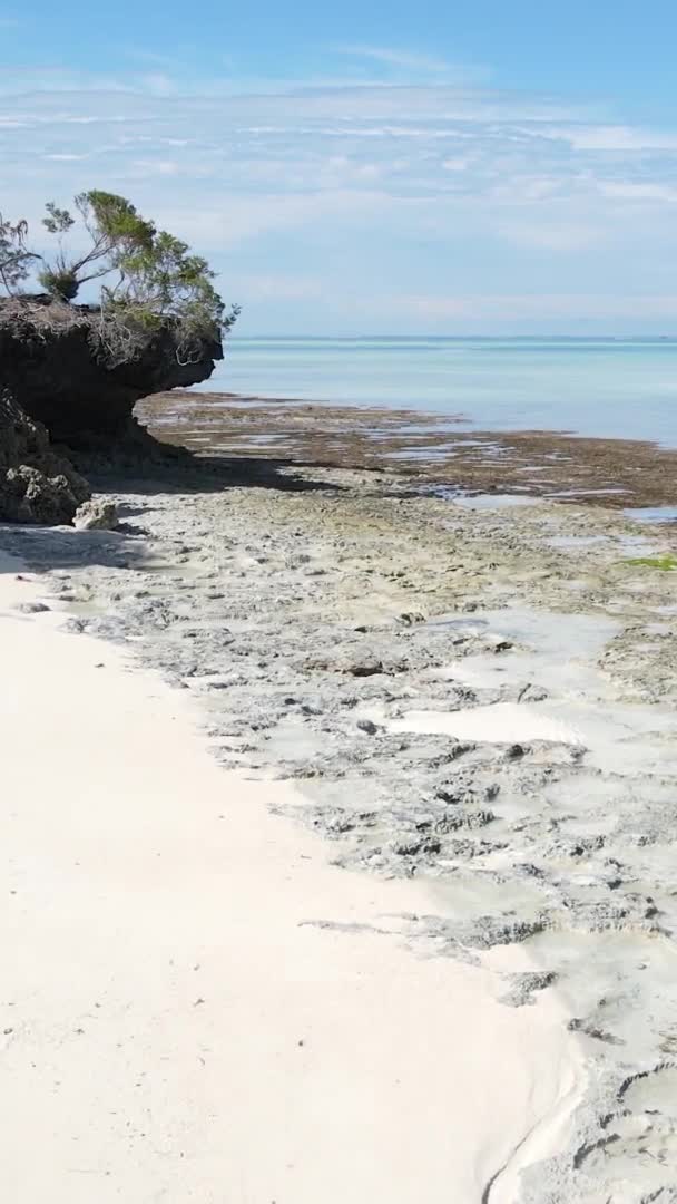 Zanzibar Tanzanie Vertikální Video Prázdná Pláž Zpomalení — Stock video