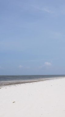 Zanzibar, Tanzanya - dikey boş kumsal, yavaş çekim