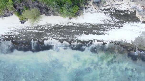 Zanzibar Tanzanya Dikey Boş Kumsal Yavaş Çekim — Stok video