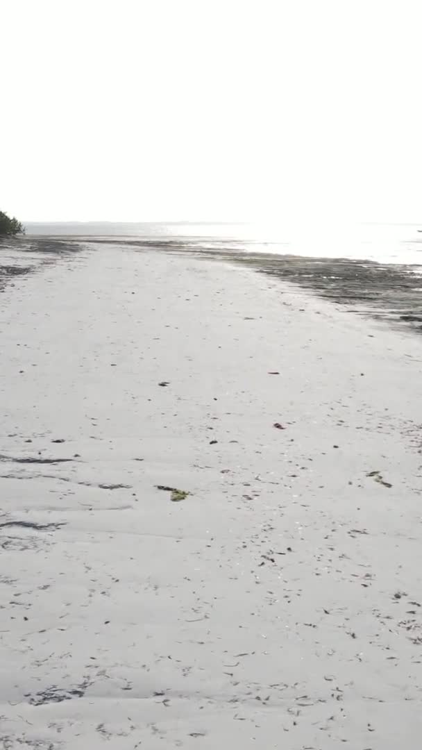 桑给巴尔 坦桑尼亚 垂直视频空旷海滩 慢镜头 — 图库视频影像