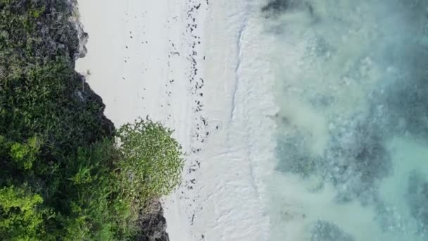 Zanzibar Tanzanya Dikey Boş Kumsal Yavaş Çekim — Stok video