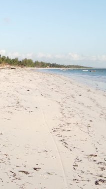 Zanzibar, Tanzanya - dikey boş kumsal, yavaş çekim