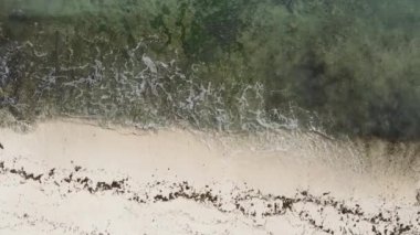 Zanzibar, Tanzanya - dikey boş kumsal, yavaş çekim