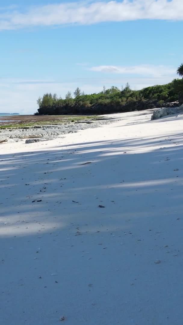 Занзибар Танзания Вертикальное Видео Пустой Пляж Замедленная Съемка — стоковое видео
