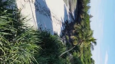 Zanzibar, Tanzanya - dikey boş kumsal, yavaş çekim