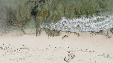 Zanzibar, Tanzanya - dikey boş kumsal, yavaş çekim
