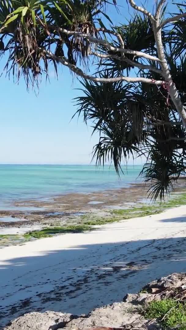 Zanzibar Tanzanie Vertikální Video Prázdná Pláž Zpomalení — Stock video