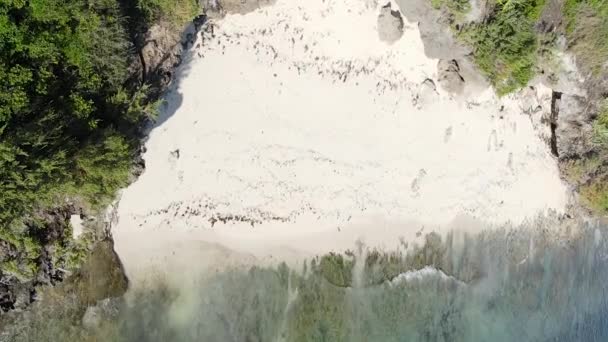 Занзібар Танзанія Вертикальне Відео Порожній Пляж Повільний Рух — стокове відео