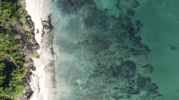 Zanzibar Tanzania Vertikal Video Pantai Kosong Gerak Lambat — Stok Video