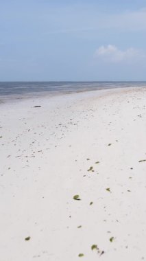 Zanzibar, Tanzanya - dikey boş kumsal, yavaş çekim