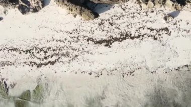 Zanzibar, Tanzanya - dikey boş kumsal, yavaş çekim
