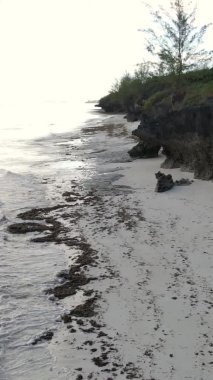 Zanzibar, Tanzanya - dikey boş kumsal, yavaş çekim