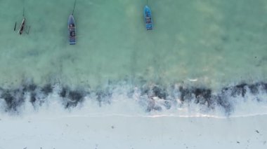 Zanzibar, Tanzanya - dikey boş kumsal, yavaş çekim