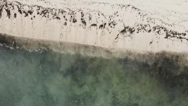 Zanzibar Tanzania Vertical Video Empty Beach Slow Motion — 비디오