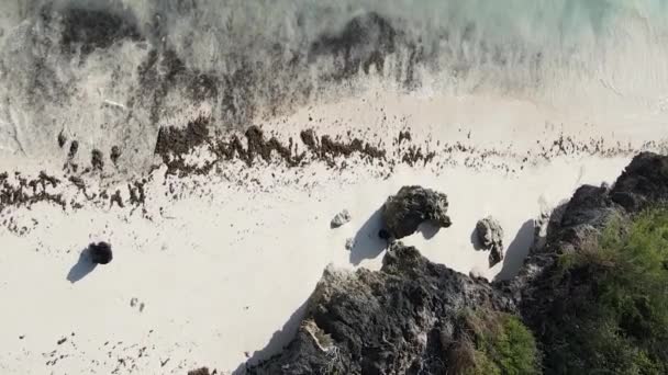 Zanzíbar Tanzania Video Vertical Playa Vacía Cámara Lenta — Vídeos de Stock