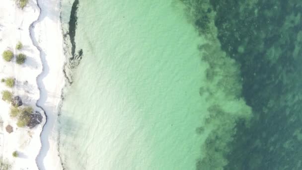 Zanzibar Tanzánia Függőleges Videó Üres Strand Lassított Felvétel — Stock videók