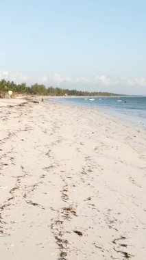 Zanzibar, Tanzanya - dikey boş kumsal, yavaş çekim