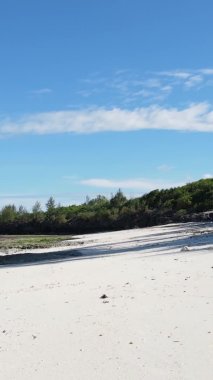 Zanzibar, Tanzanya - dikey boş kumsal, yavaş çekim