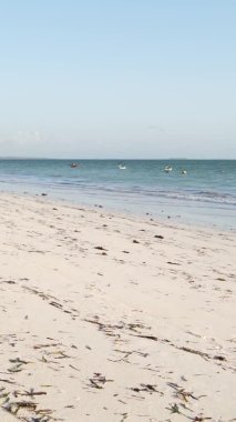 Zanzibar, Tanzanya - dikey boş kumsal, yavaş çekim