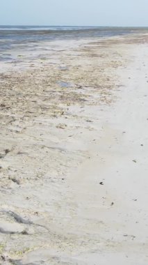 Zanzibar, Tanzanya - Sahilde futbol oynayan dikey videocular, yavaş çekim