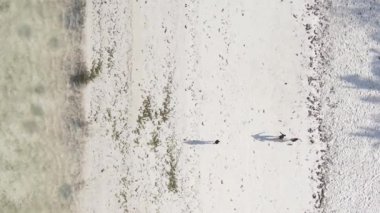 Zanzibar, Tanzanya - Sahilde futbol oynayan dikey videocular, yavaş çekim