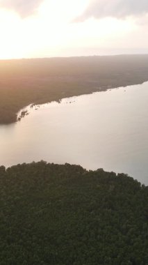 Zanzibar, Tanzanya - adanın kıyıları çalılıklarla kaplı, yavaş çekim