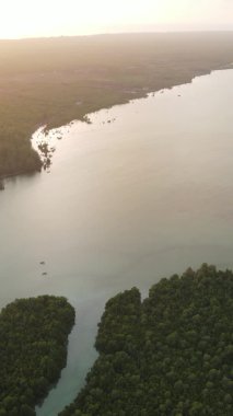 Zanzibar, Tanzanya - adanın kıyıları çalılıklarla kaplı, yavaş çekim