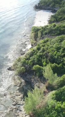 Zanzibar, Tanzanya - adanın kıyıları çalılıklarla kaplı, yavaş çekim