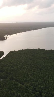 Zanzibar, Tanzanya - adanın kıyıları çalılıklarla kaplı, yavaş çekim