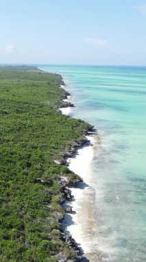 Zanzibar, Tanzanya - adanın kıyıları çalılıklarla kaplı, yavaş çekim