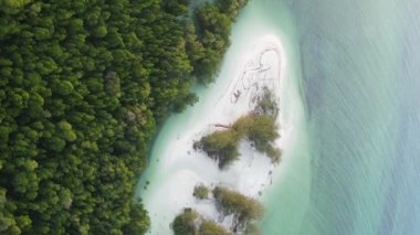 Zanzibar, Tanzanya - adanın kıyıları çalılıklarla kaplı, yavaş çekim