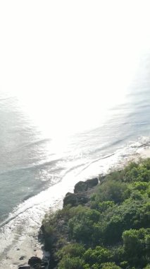 Zanzibar, Tanzanya - adanın kıyıları çalılıklarla kaplı, yavaş çekim