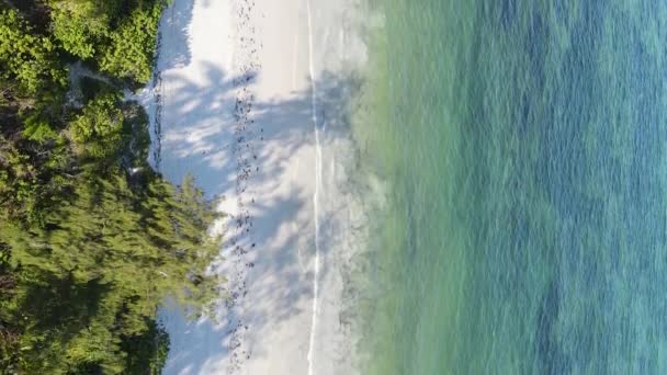 Zanzibar Tanzania Vertical Video Empty Beach Slow Motion — 비디오