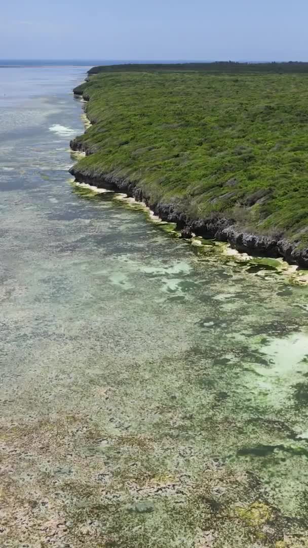 Zanzibar Tanzanie Côte Île Couverte Fourrés Ralenti — Video