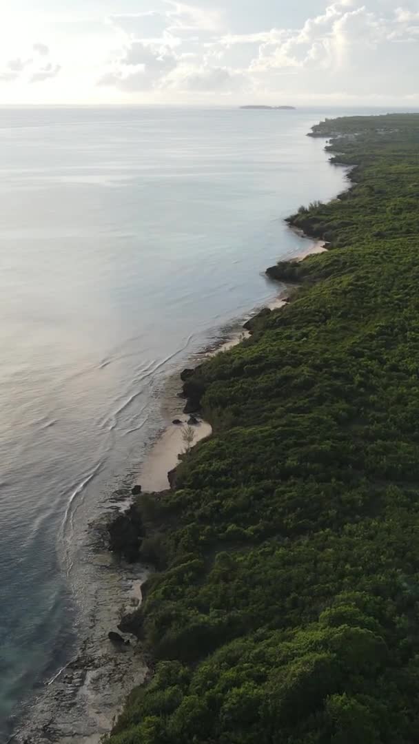 Zanzibar Tanzanya Adanın Kıyıları Çalılıklarla Kaplı Yavaş Çekim — Stok video