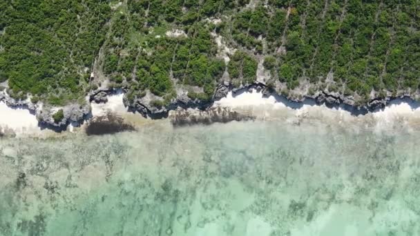 Zanzibar Tanzania Costa Dell Isola Ricoperta Boscaglie Rallentatore — Video Stock