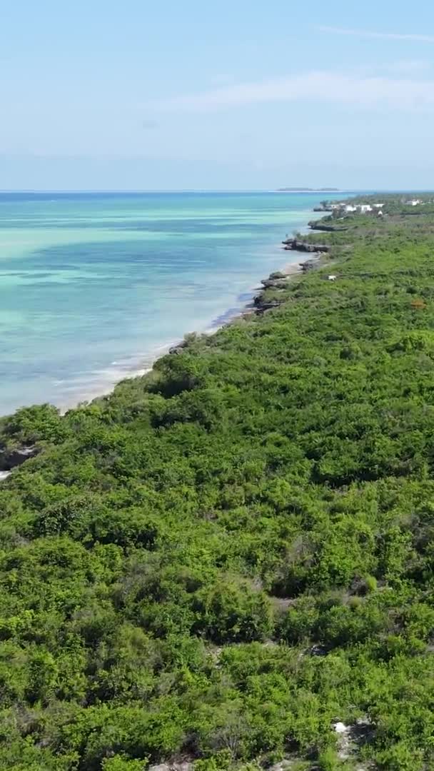 Zanzibar Tanzania Coast Island Covered Thickets Slow Motion — Stock Video