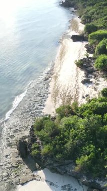 Zanzibar, Tanzanya - adanın kıyıları çalılıklarla kaplı, yavaş çekim