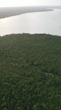 Zanzibar, Tanzanya - adanın kıyıları çalılıklarla kaplı, yavaş çekim
