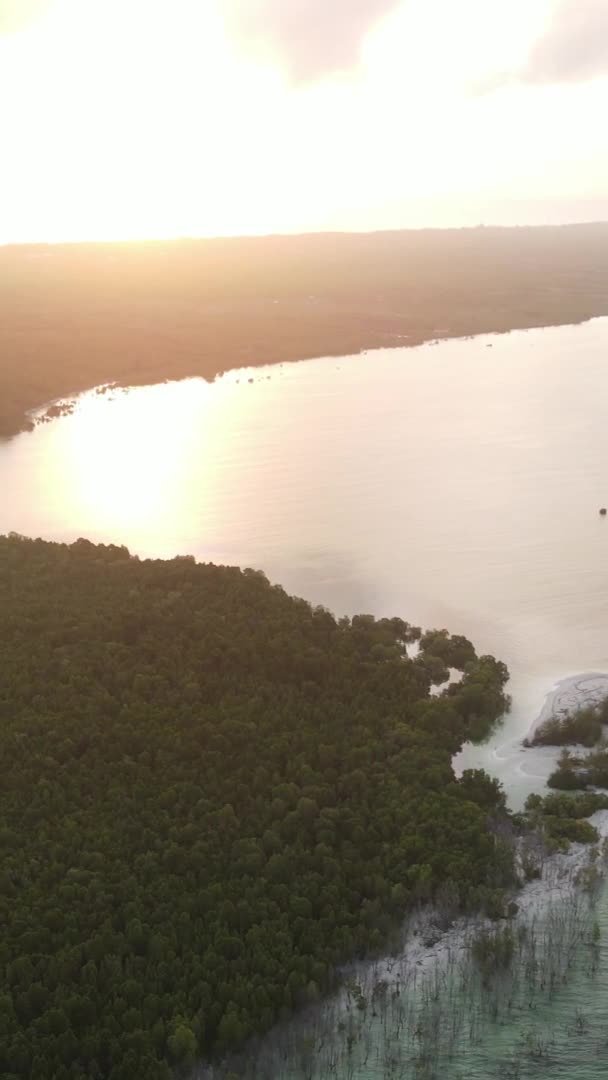 Zanzibar Tanzanie Côte Île Couverte Fourrés Ralenti — Video