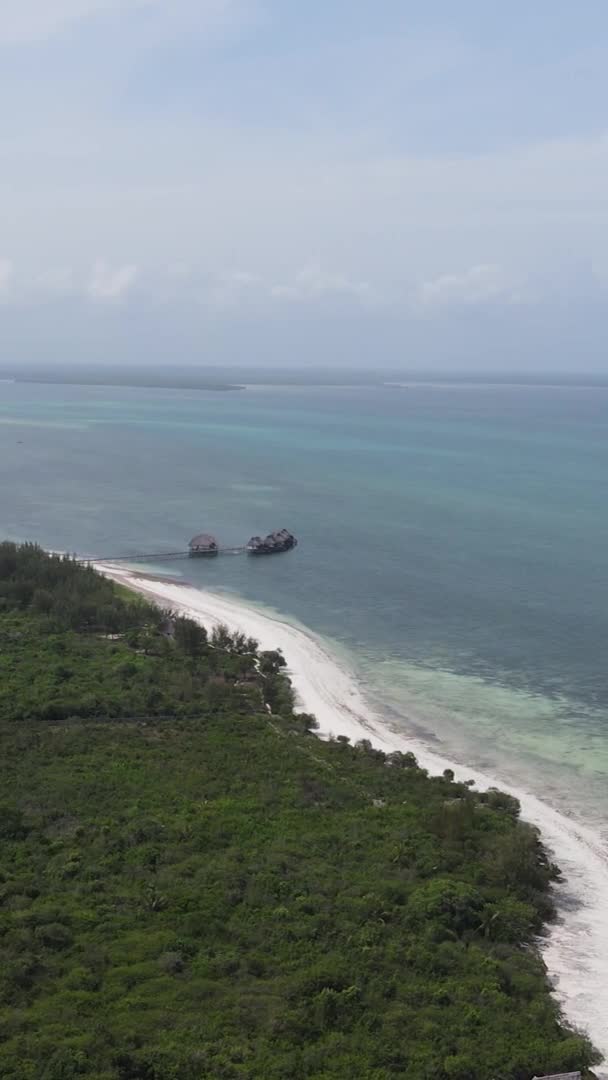 Zanzibar Τανζανία Ακτές Του Νησιού Καλυμμένες Πυκνότητες Αργή Κίνηση — Αρχείο Βίντεο