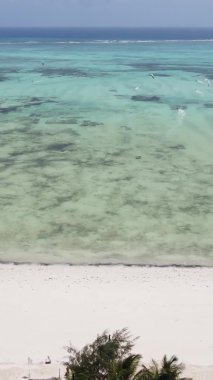 Zanzibar, Tanzanya - okyanus kıyısında dikey video uçurtmaları, yavaş çekim